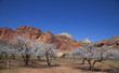 Capitol Reef National Park Capitol Reef National Park