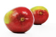 mango 5