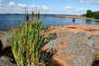 Photo: Fisherman Fisherman
