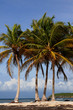 Plage de  Sainte-Anne à la Guadeloupe