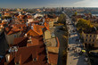 View of roofs and Charles bridge