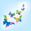 vector butterfly background vector butterfly background