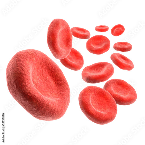 Illustration: 3d Isolated blood cells 3d Isolated blood cells
