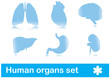 Human organs set