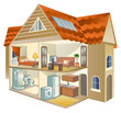 House Cross Section