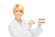 doctor with toothbrush and jaws
