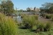 Chateau de Succinio