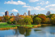 New York City New York City