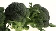 video broccoletti