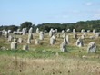 ALIGNEMENT DE MENHIRS A CARNAC EN BRETAGNE ALIGNEMENT DE MENHIRS A CARNAC EN BRETAGNE