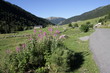 Vallée d'Incles,Andorre