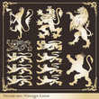 Silhouettes of gold heraldic lions