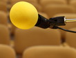 Microphone at conference