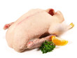 Frische Gans