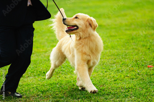 Photo: Master playing with his dog Master playing with his dog