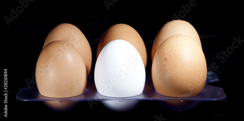 Photo: Huevos Huevos