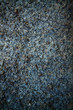 Cement texture Cement texture