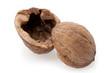 Photo: Walnut shell isolated on a white background Walnut shell isolated on a white background