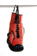 Boxhandschuhe