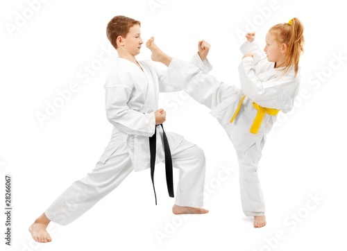 Photo: Martial arts sparring Martial arts sparring