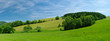 Fresh summer meadow