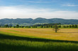 Hills scenery