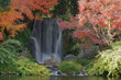 紅葉と滝