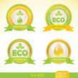 ecology labels, vector illustration ecology labels, vector illustration
