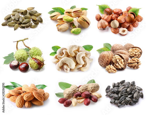 Photo: Collection of ripe nuts and seeds on a white background Collection of ripe nuts and seeds on a white background