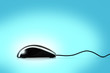 Computer mouse on blue
