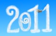 2011 in the Sky
