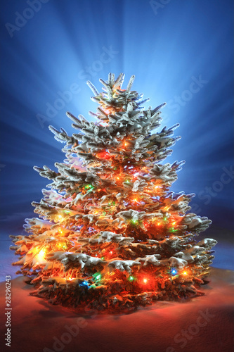Photo: Christmas scenic photo Christmas scenic photo
