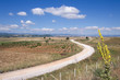 White Dirt Road Winding White Dirt Road Winding