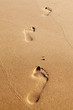 Photo: Three human footprints on the beach sand Three human footprints on the beach sand