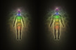 Woman and man silhouette with aura, chakras, energy