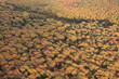 couleurs d'automne