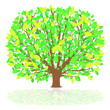 Vektor: prächtiger baum im frühling prächtiger baum im frühling