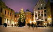 Christmas tree at Stortorget in Gamlastan, Stockholm, Sweden
