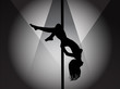 Pole dancer