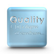 Quality definition engraved into a blue ice cube Quality definition engraved into a blue ice cube