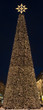 Weihnachtsbaum