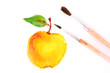 Painted yellow apple and brushes isolated on white