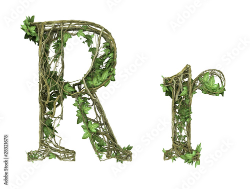 plant font