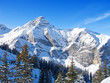 Winter in the alps