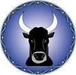 TORO