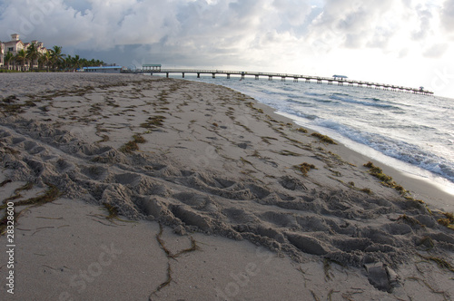Photo: Turtle Tracks on the Beach Turtle Tracks on the Beach