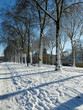 La neige à Versailles