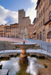 Fountain in the Piazza Grande, Arezzo, Italy Fountain in the Piazza Grande, Arezzo, Italy
