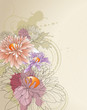 Floral background with Chrysanthemums