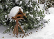 Vogelhaus_4490